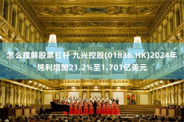 怎么理解股票杠杆 九兴控股(01836.HK)2024年纯利增加21.2%至1.701亿美元