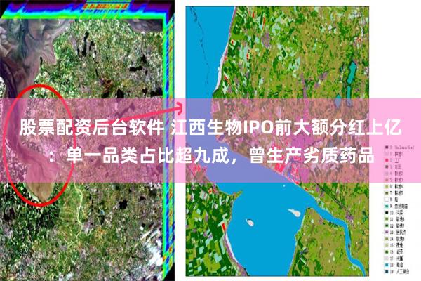 股票配资后台软件 江西生物IPO前大额分红上亿：单一品类占比超九成，曾生产劣质药品