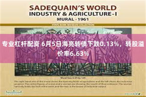 专业杠杆配资 6月5日海亮转债下跌0.13%，转股溢价率6.63%