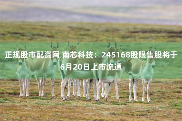 正规股市配资网 南芯科技：245168股限售股将于6月20日上市流通