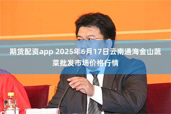 期货配资app 2025年6月17日云南通海金山蔬菜批发市场价格行情