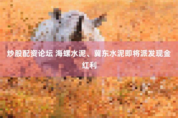 炒股配资论坛 海螺水泥、冀东水泥即将派发现金红利