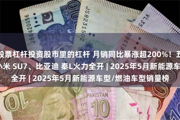 股票杠杆投资股市里的杠杆 月销同比暴涨超200%！五菱宏光MiNi EV、小米 SU7、比亚迪 秦L火力全开 | 2025年5月新能源车型/燃油车型销量榜